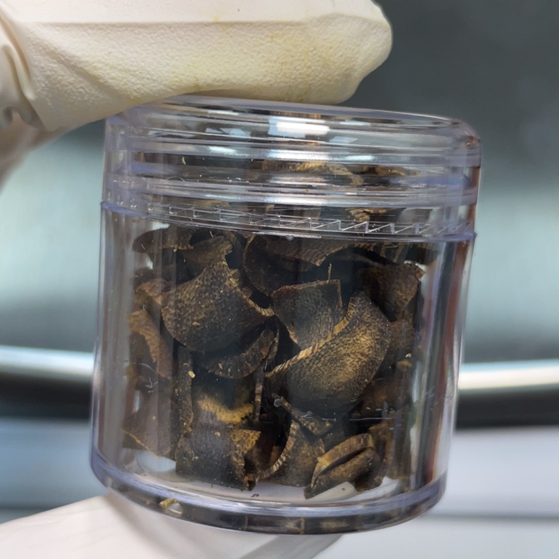 线香沉水乌身切片