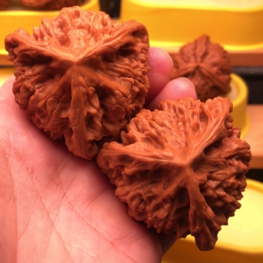 渤***浩核桃核桃核桃核桃核桃