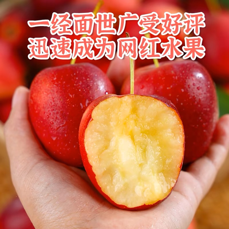 东北鸡心果吉林特产锦绣海棠果小苹果糖心脆甜香槟香妃果坏果包赔