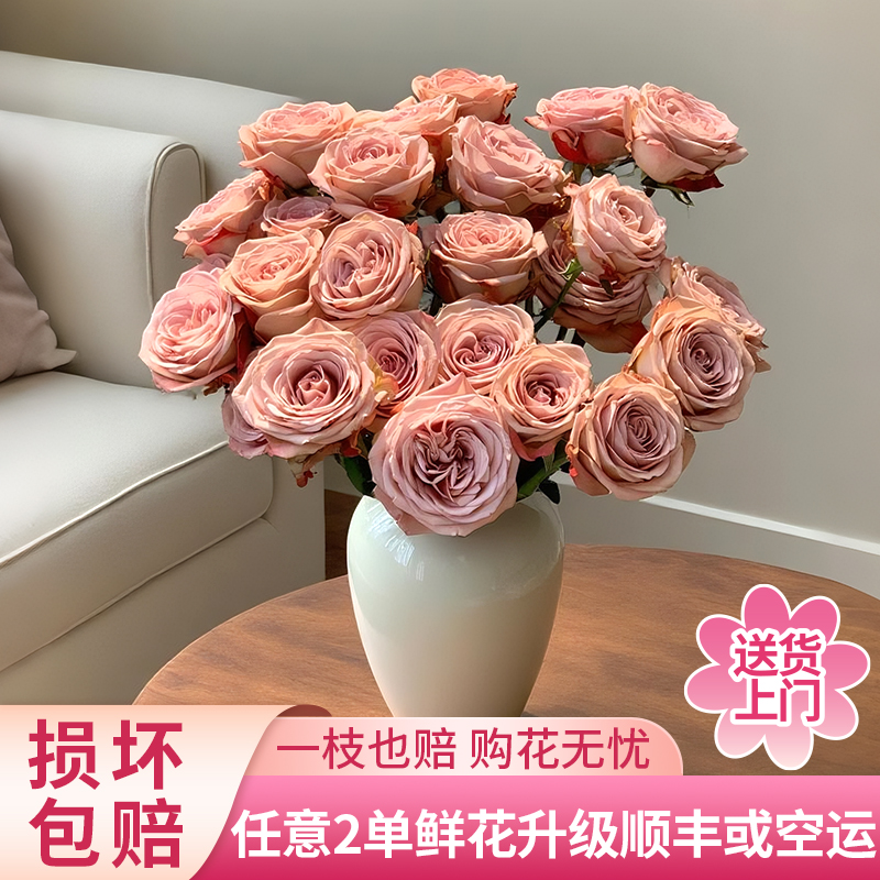 【黄梦宇】卡布奇诺单头玫瑰全场鲜花任意满两单及以上包邮送货上门