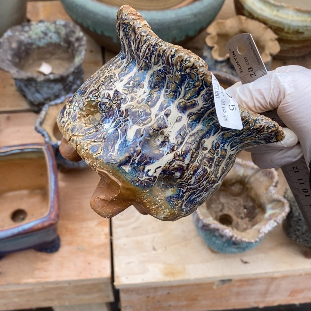 红陶陈****t5号多肉盆一个呀