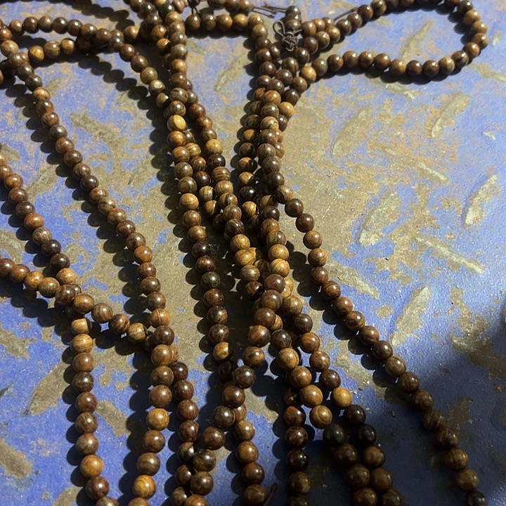 香榧木588888888888888