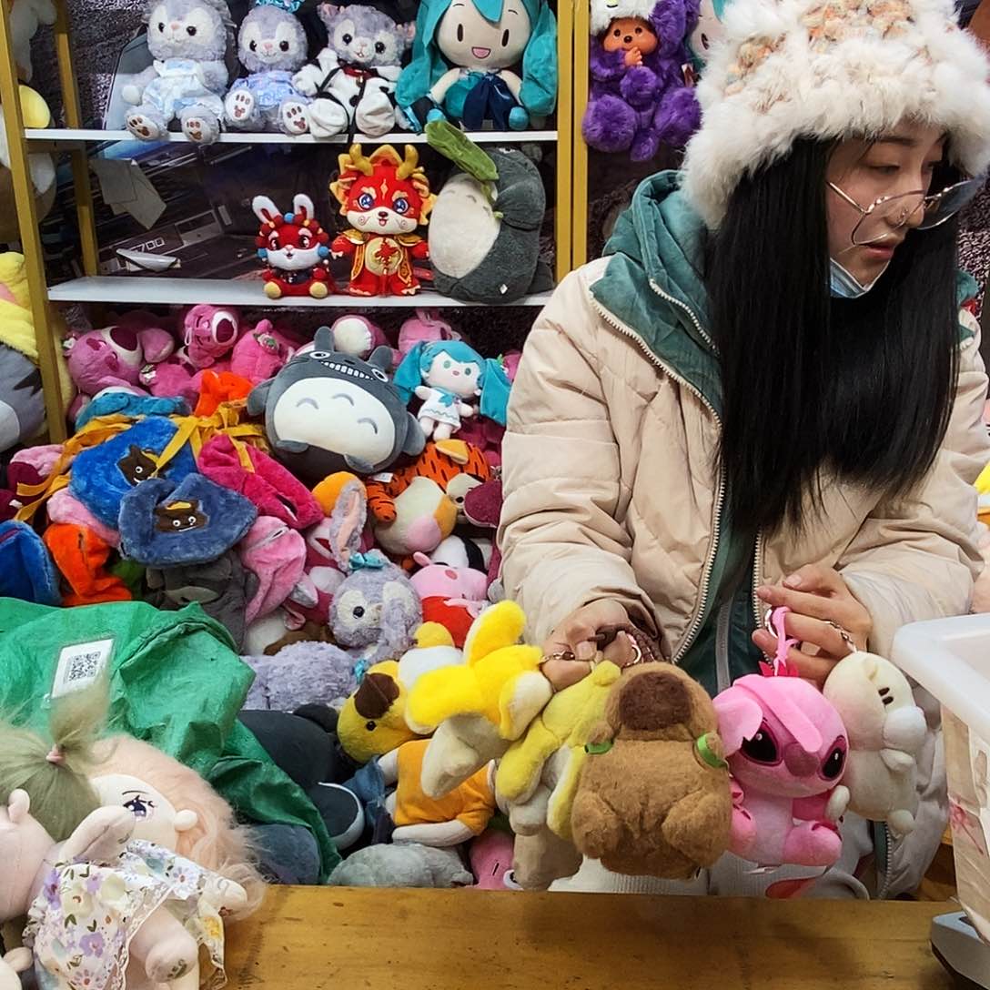 毛绒＾****＾毛绒玩具251