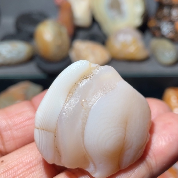 青***竹石材阿拉善沙漠奇石