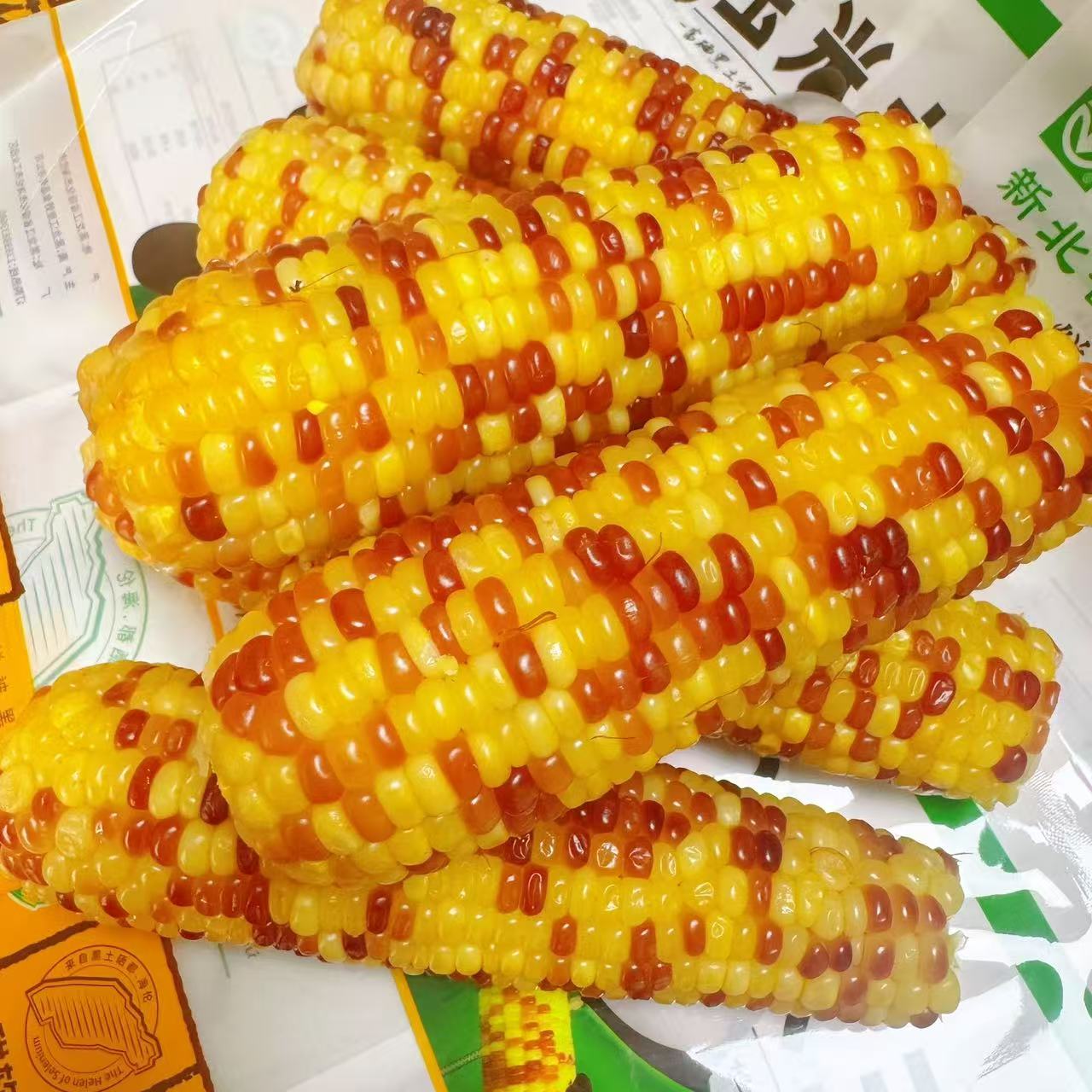 速冻非即食五彩玉米软糯香甜水果玉米黄糯玉米四斤6-7根