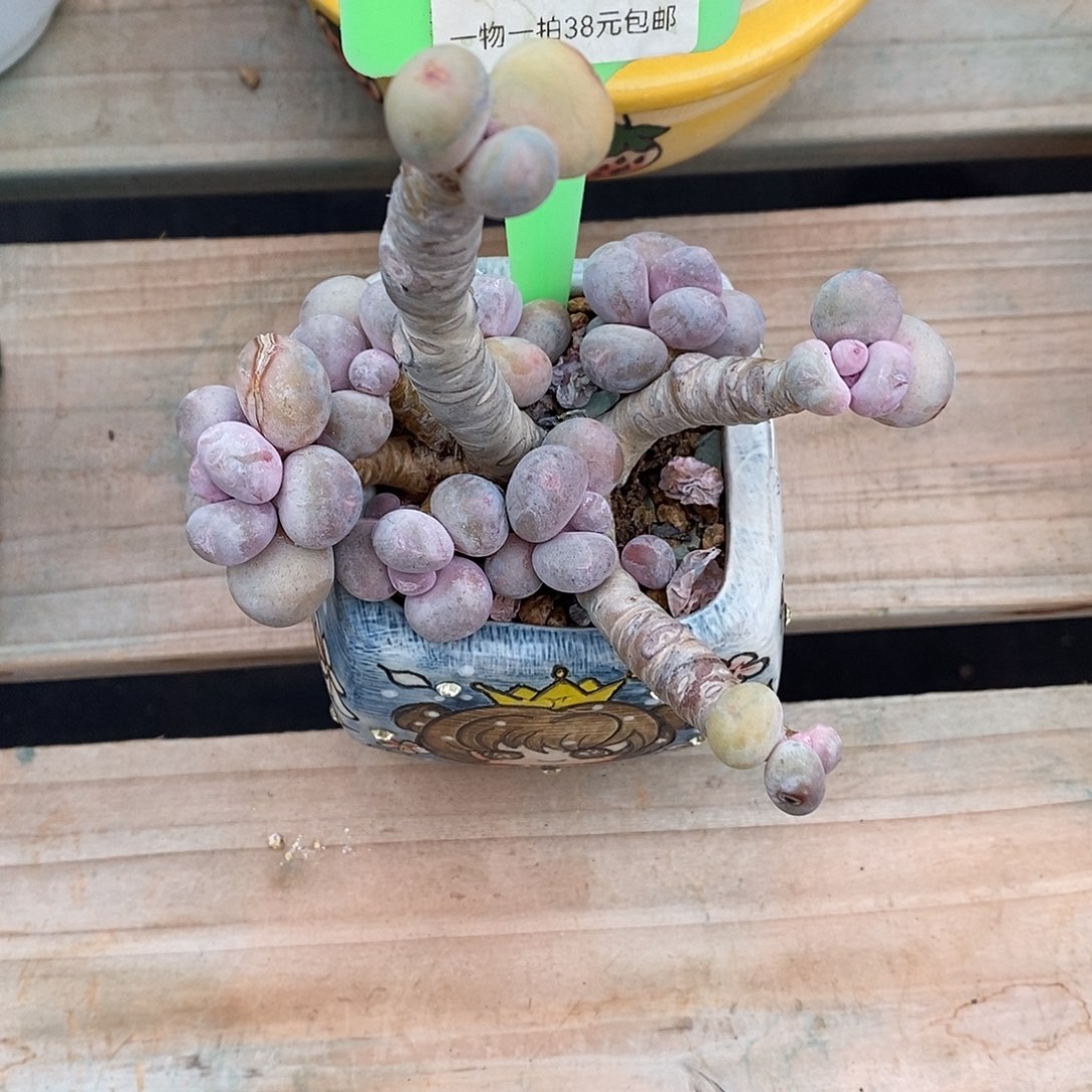 025投诉如图所OK UN吐了