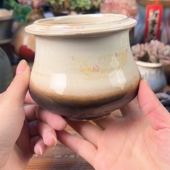景德镇陶瓷研究所