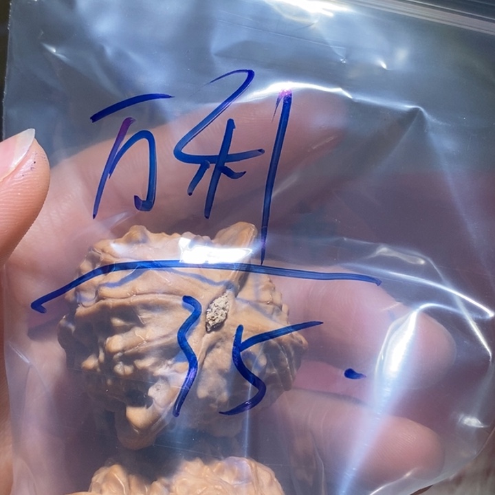 万***利文玩核桃吊坠精品课程等课程教学工作中