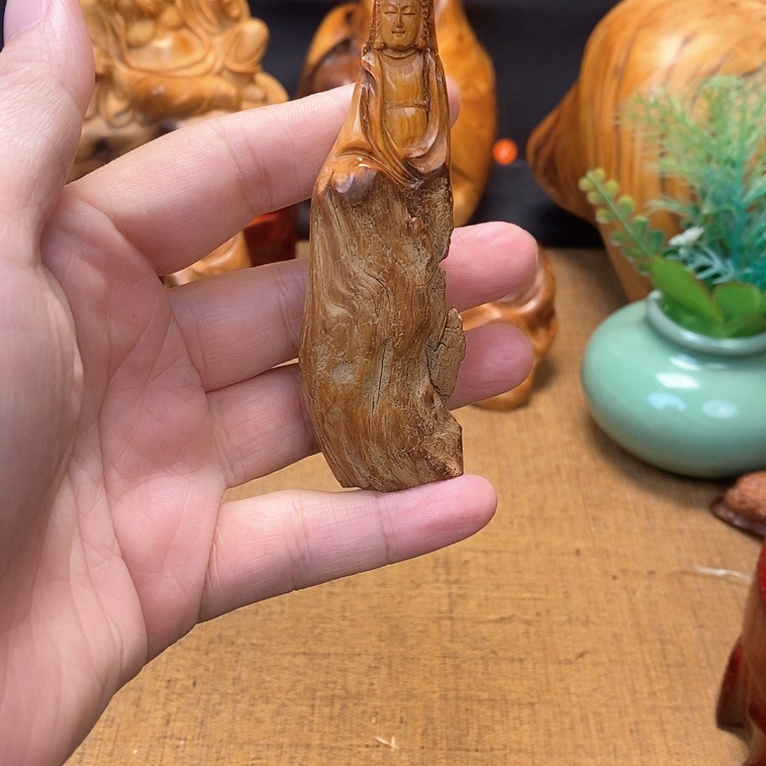 柏木（崖柏）一物一图