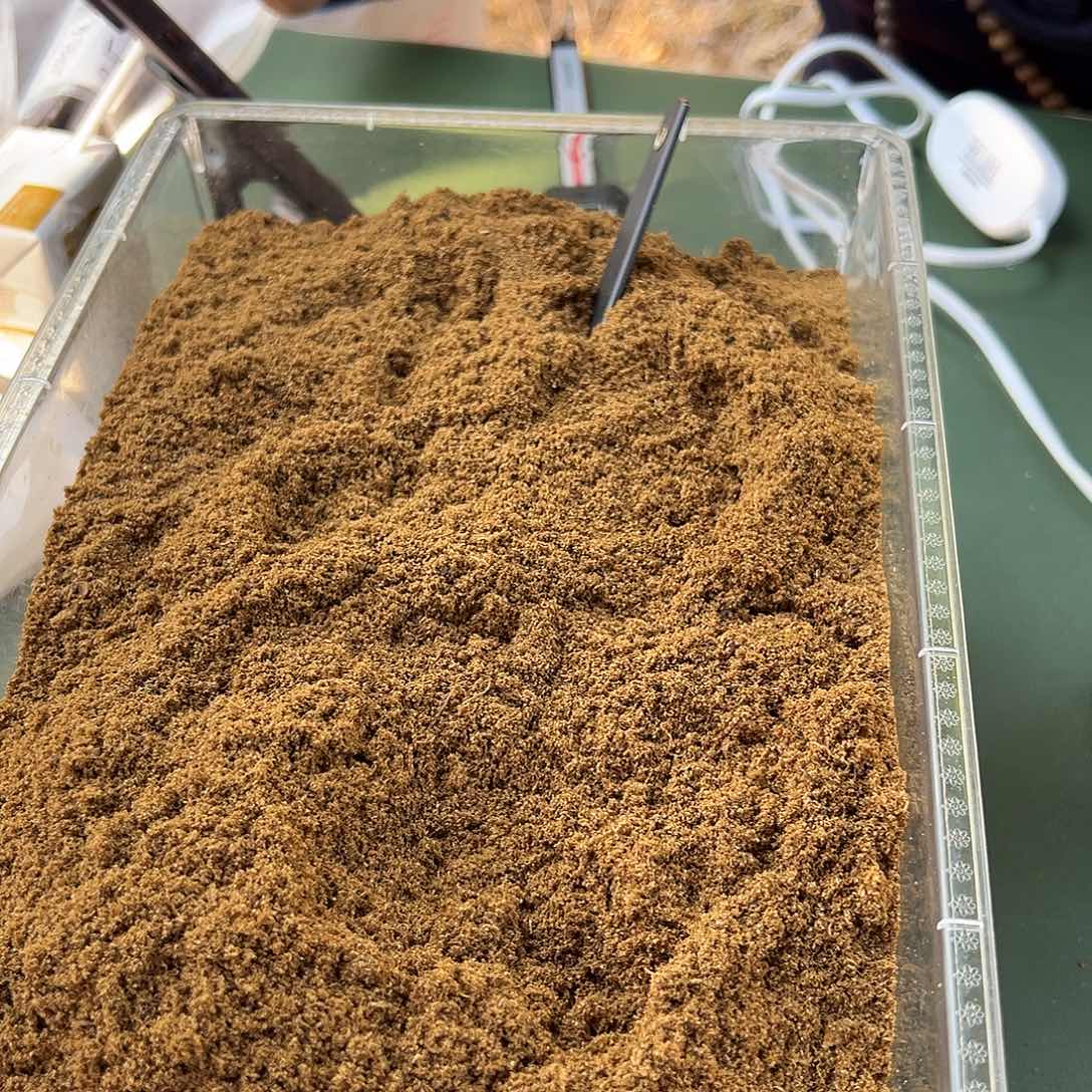 沉香沉香碎屑白棋粉30克多样性发一份配炉子