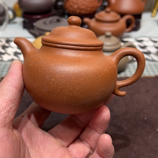 降坡莲子容量一百六