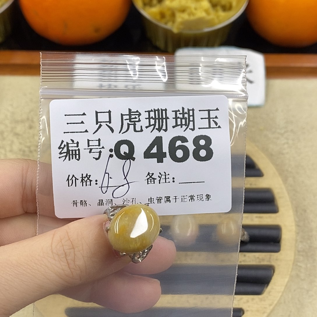 硅化珊瑚（珊瑚玉）1未镶嵌?****?