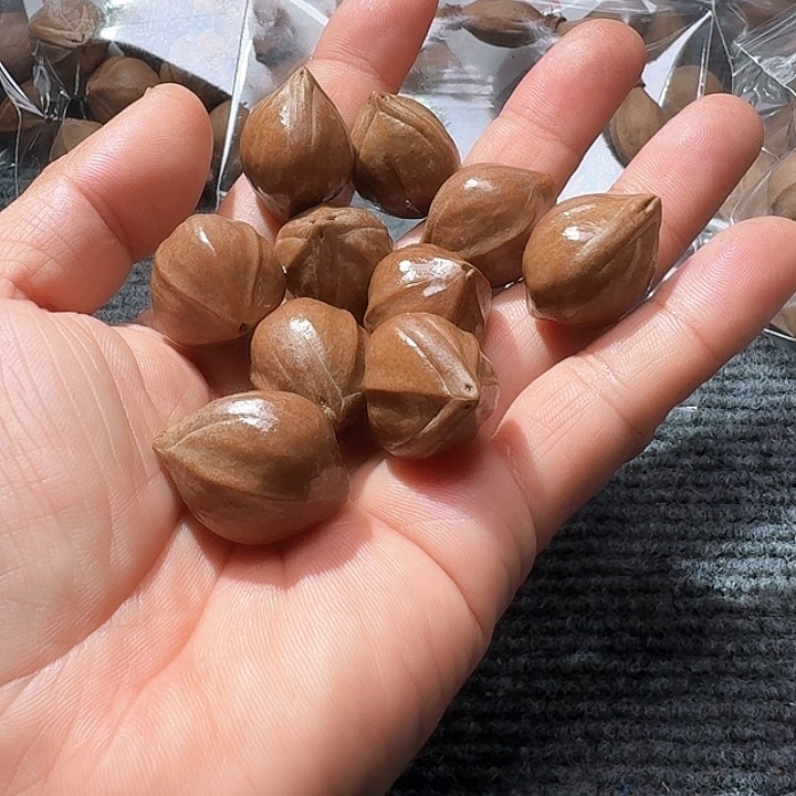 吊坠橄榄核@*2.1❌2.7