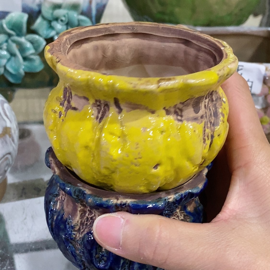 【闪购商品】红陶福利