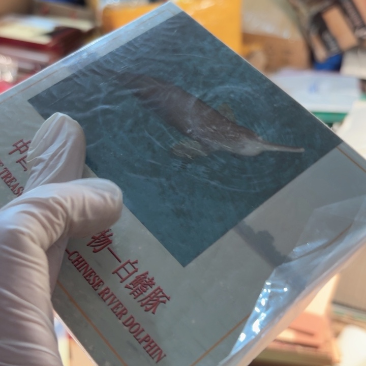 其他普通金属白鳍豚卡册