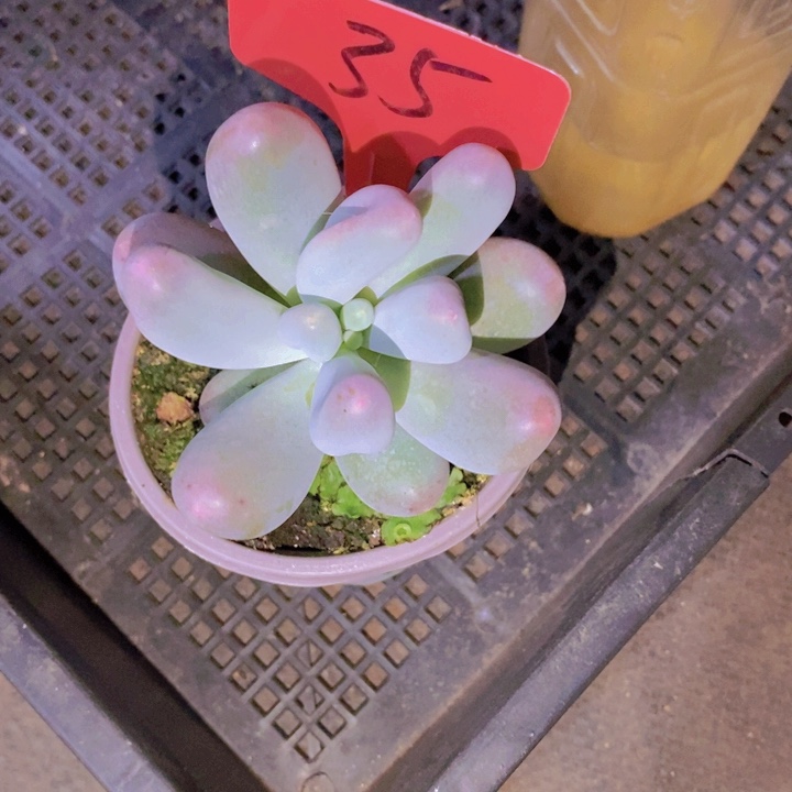 这些东西真的不是什么