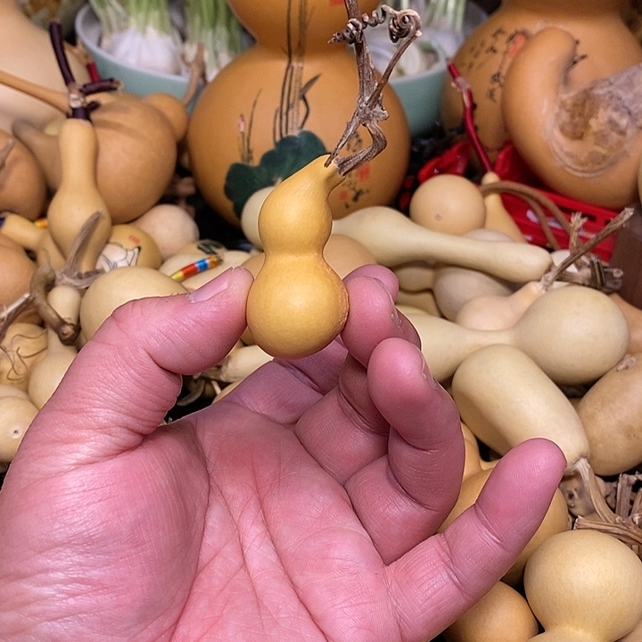 K***?精品葫芦手把葫芦57