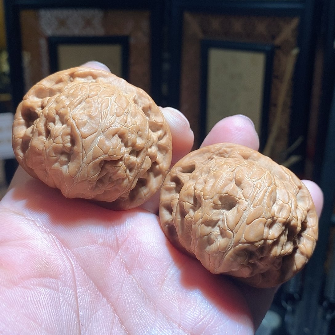 文玩核桃把件49玄武全品