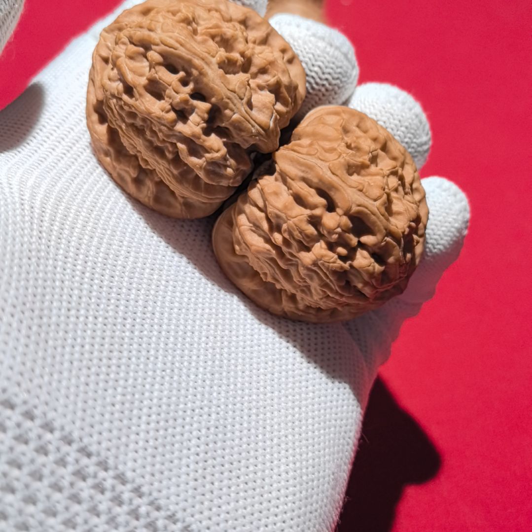 文玩核桃把件专****构