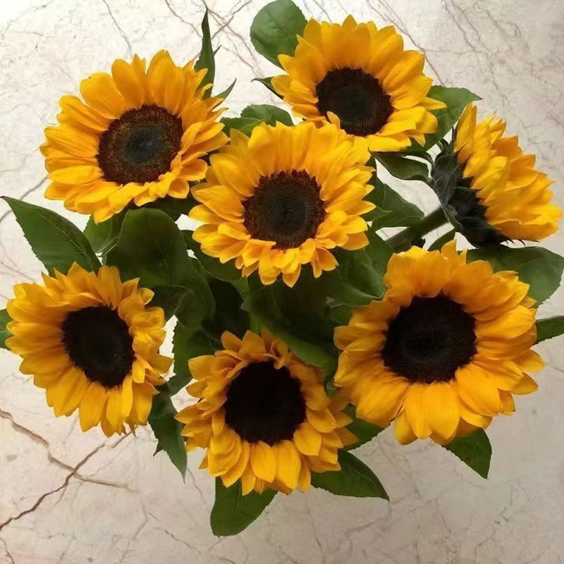 云南基地直发向日葵鲜花搭配配草教师节礼物插花