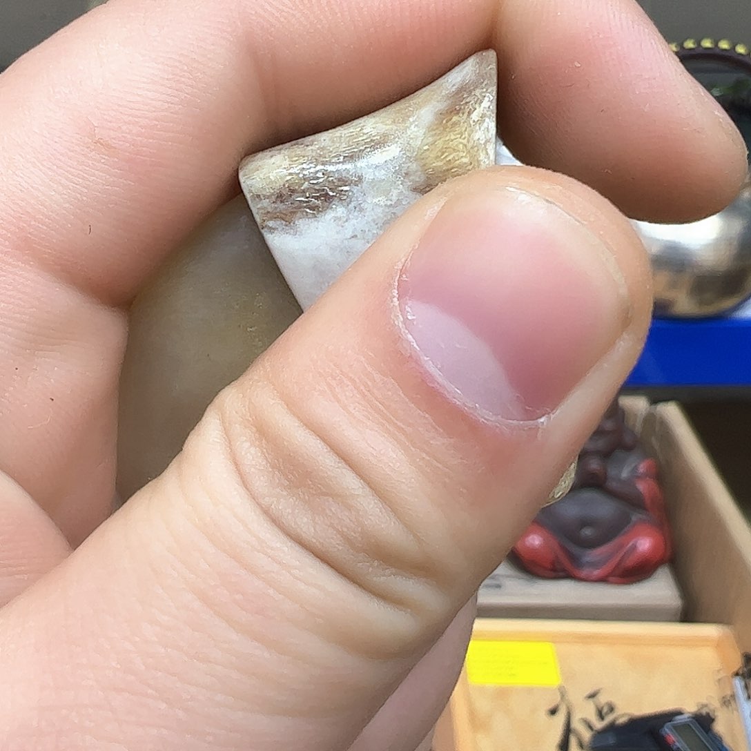 茶宠我们的生活方式是什么