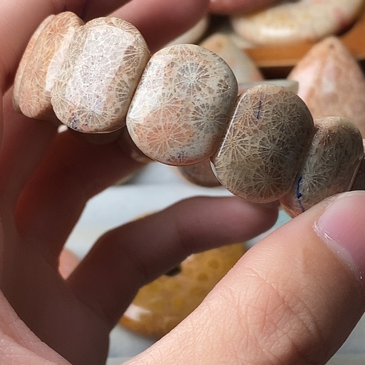 硅化玉未镶嵌颈饰