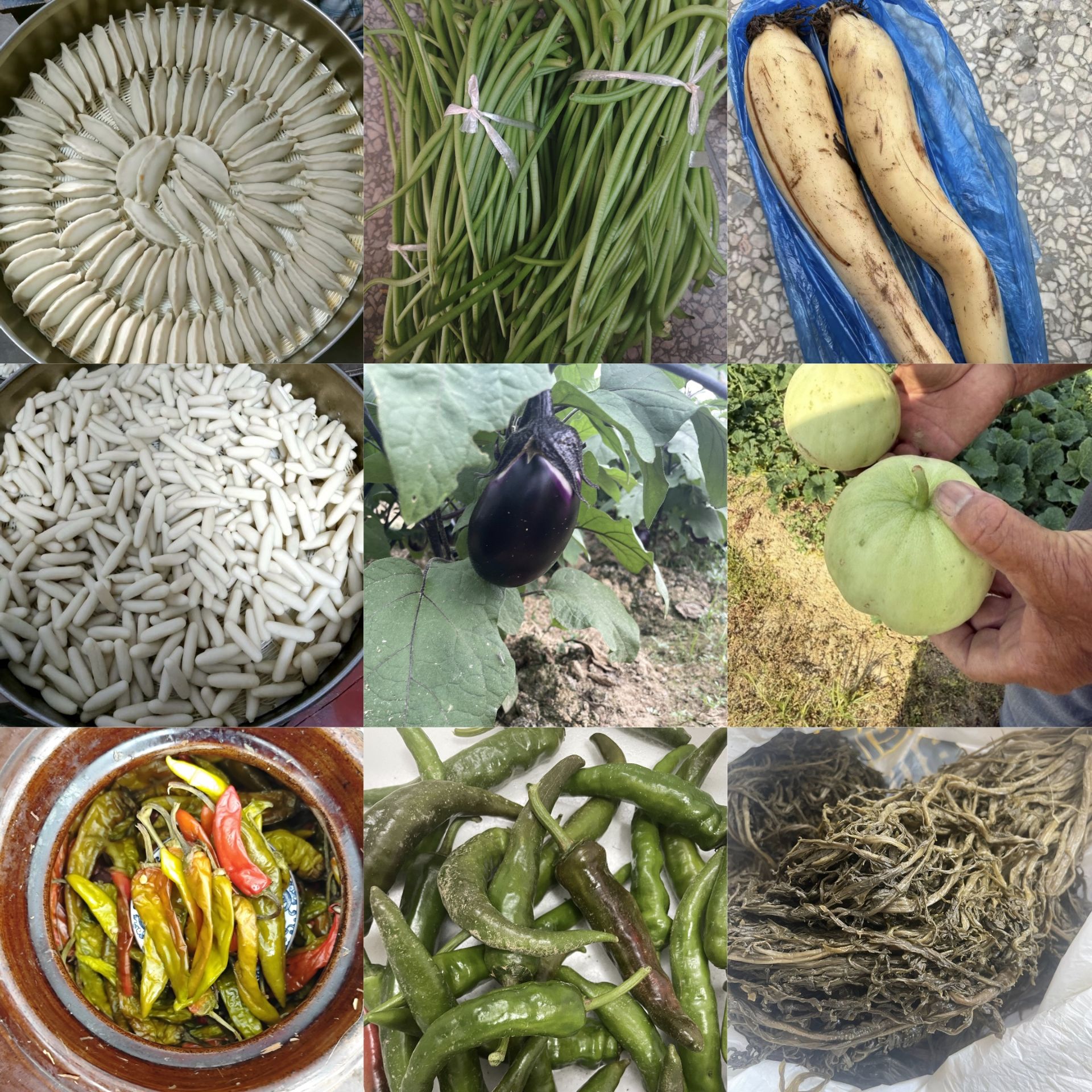 老家集市丨各种瓜果蔬菜丨包邮