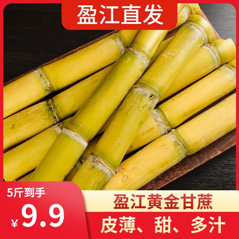 云南盈江黄金甘蔗新鲜薄皮青皮应季水果甜脆黄皮甘蔗5斤9斤包邮