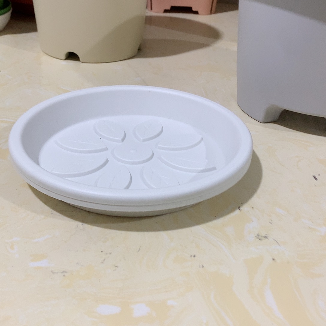 树脂21托盘5个灰白