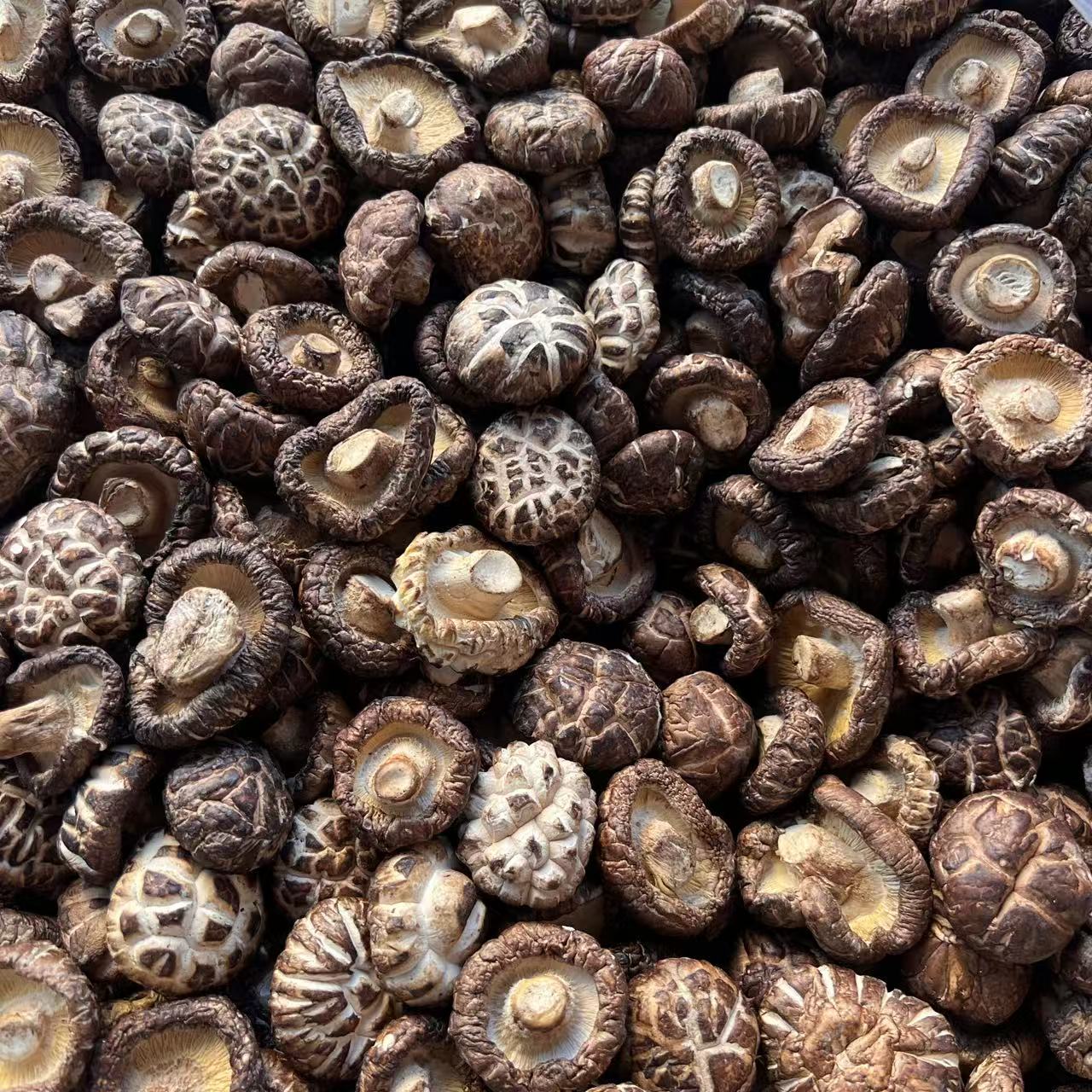 当季精品花菇山货可煲汤炖煮食用干香菇