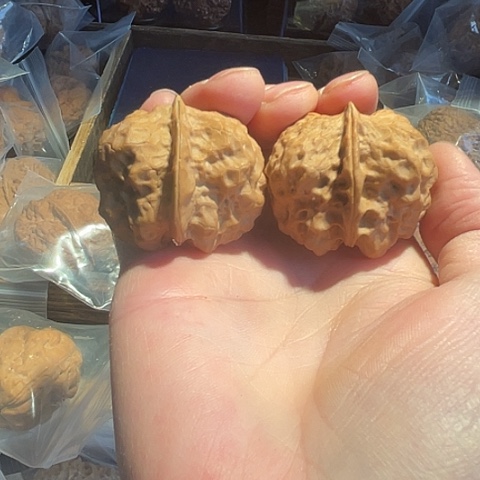 把件文玩核桃金砖舍利带彩40