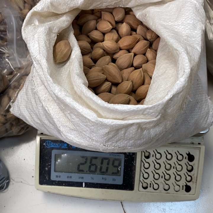 吊坠橄榄核练****坊橄榄油和好