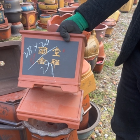 红陶紫砂花盆盆景盆栽