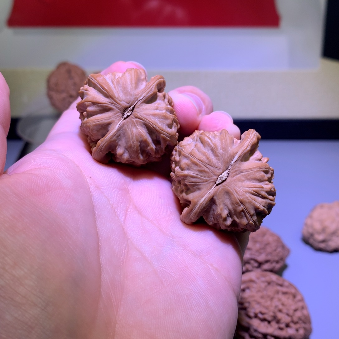 把件文玩核桃我**圣白狮子35