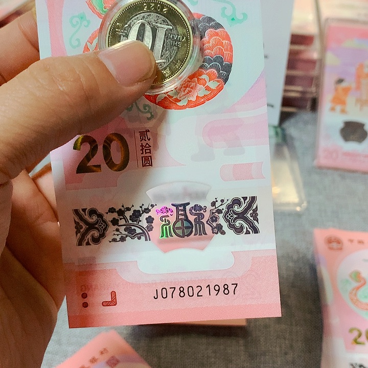 塑料龙***?2025蛇纪念品