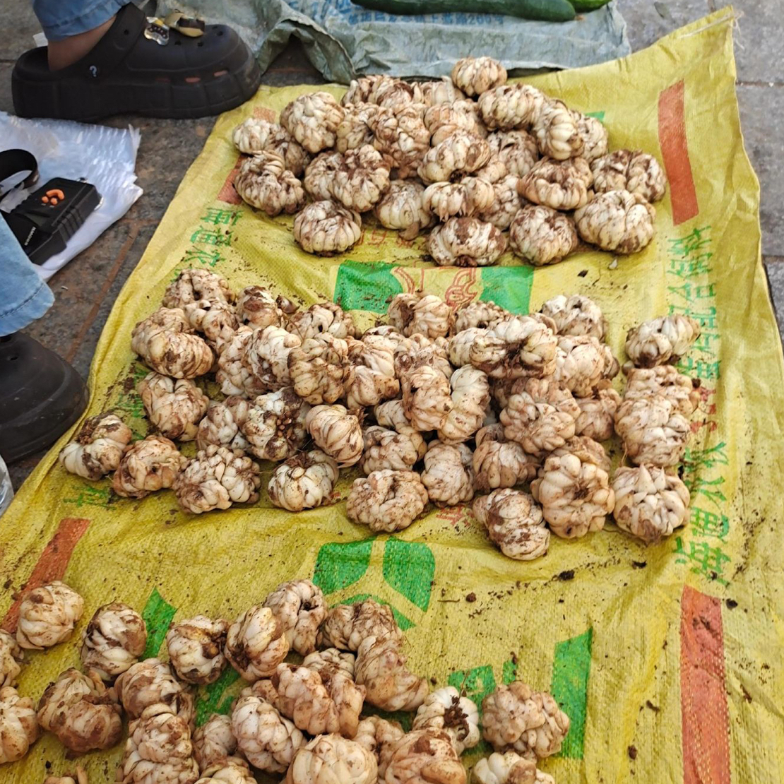 （阿辉代收）正宗高原新鲜百合