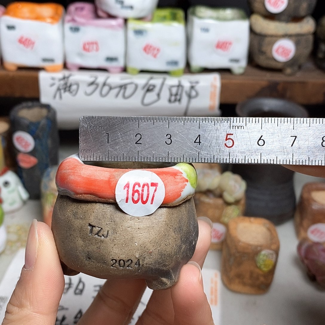 红陶拍5送一个小