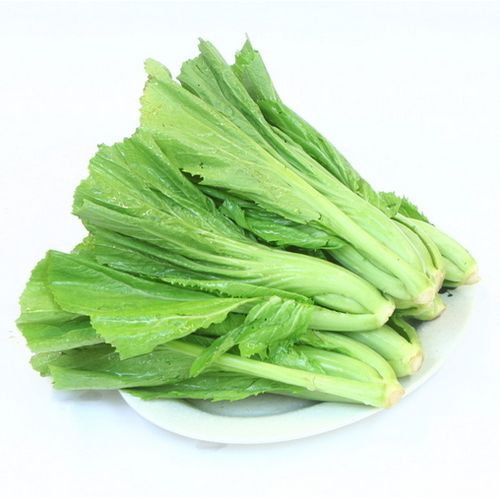 高原小芥菜（约320g）