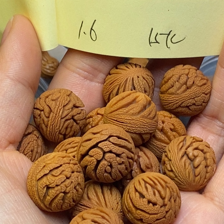 吊坠桃核秦岭龙纹桃核16尺寸