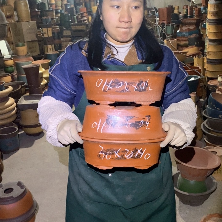 紫砂花盆紫砂花盆盆栽花卉苗木种植