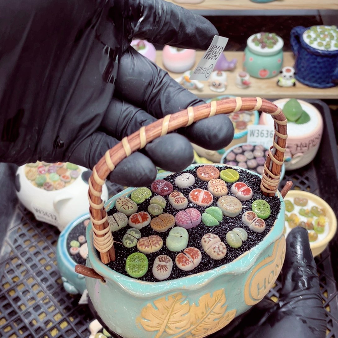 夜间零下地区拍保温箱w3643