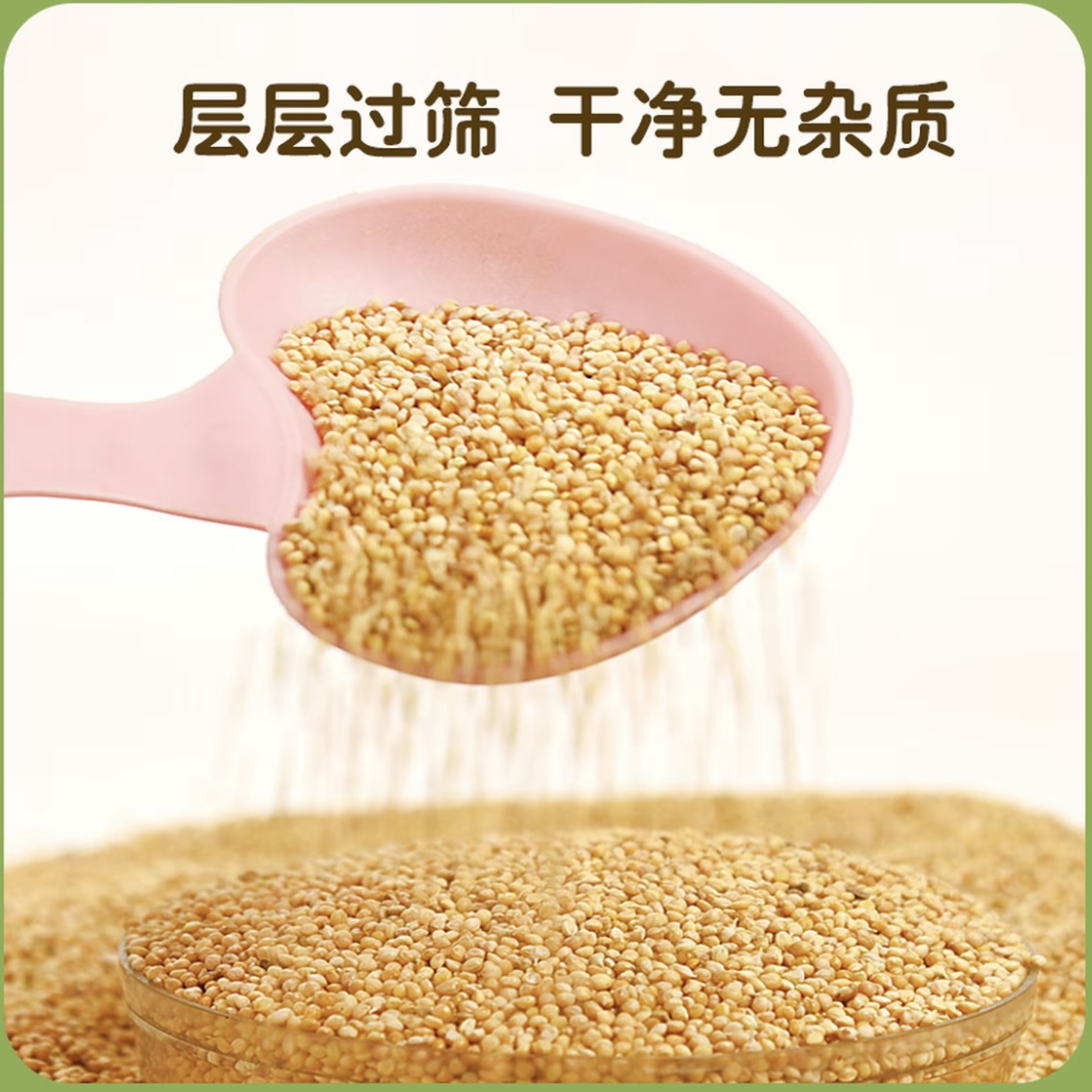 带壳黄谷子鸟类粮食鹦鹉鸟食鸟粮