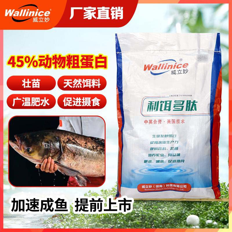 培轮虫蛋白饲料全价肥水产肥水大头鱼饵高效促长厂家直销利饵多肽