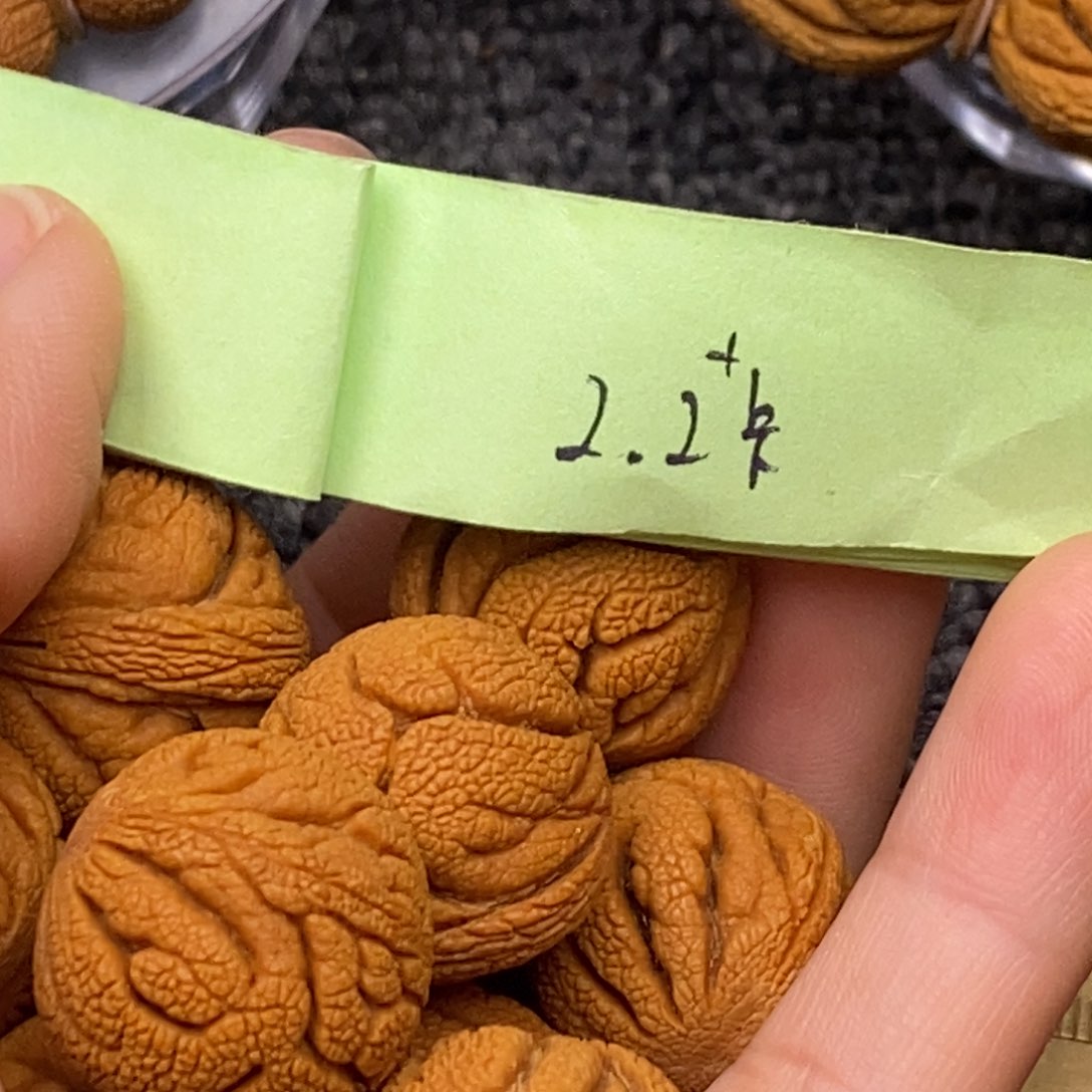 秦岭山脉龙纹桃核 13