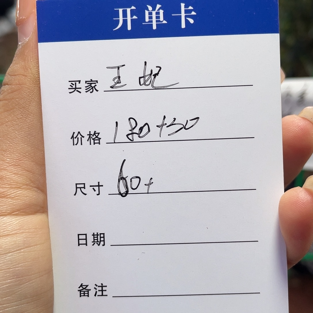 王***妃非金属所见皆所得