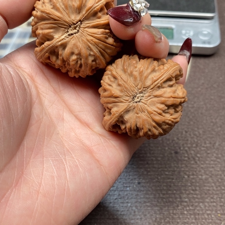 文玩核桃吊坠太行龙珠全品