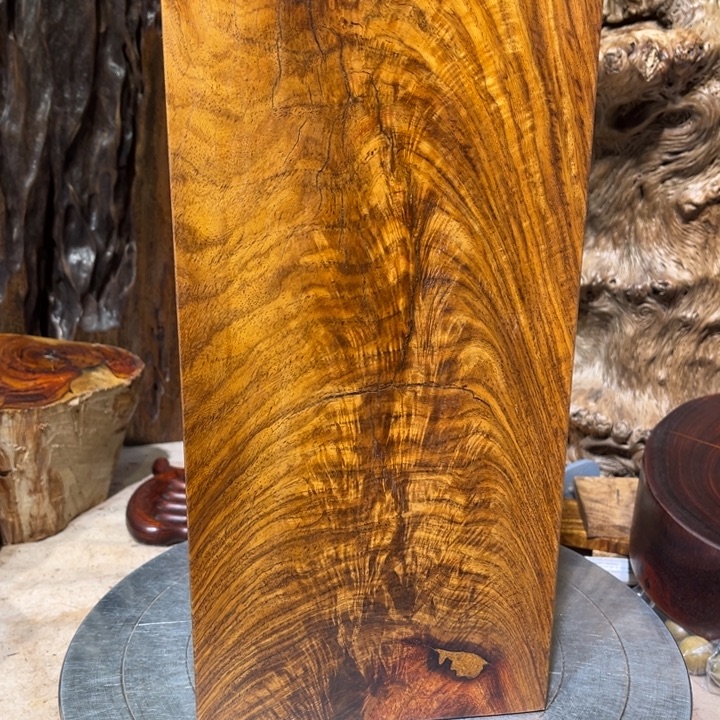 山***间香榧木刺猬木木木木木木