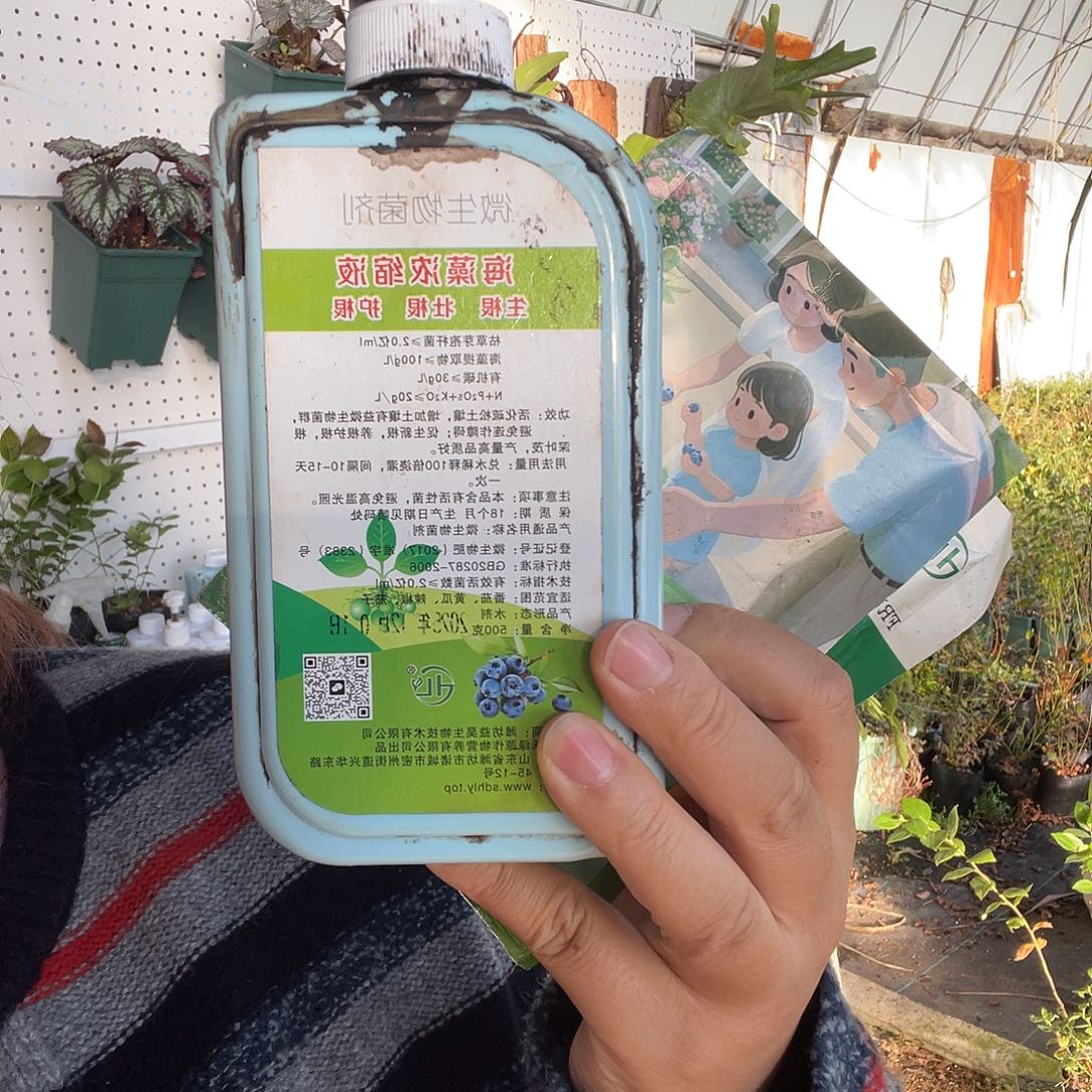 一瓶海藻精送一包促花肥送一包酸