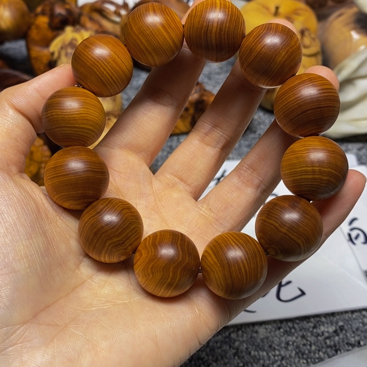 柏木（崖柏）崖柏155