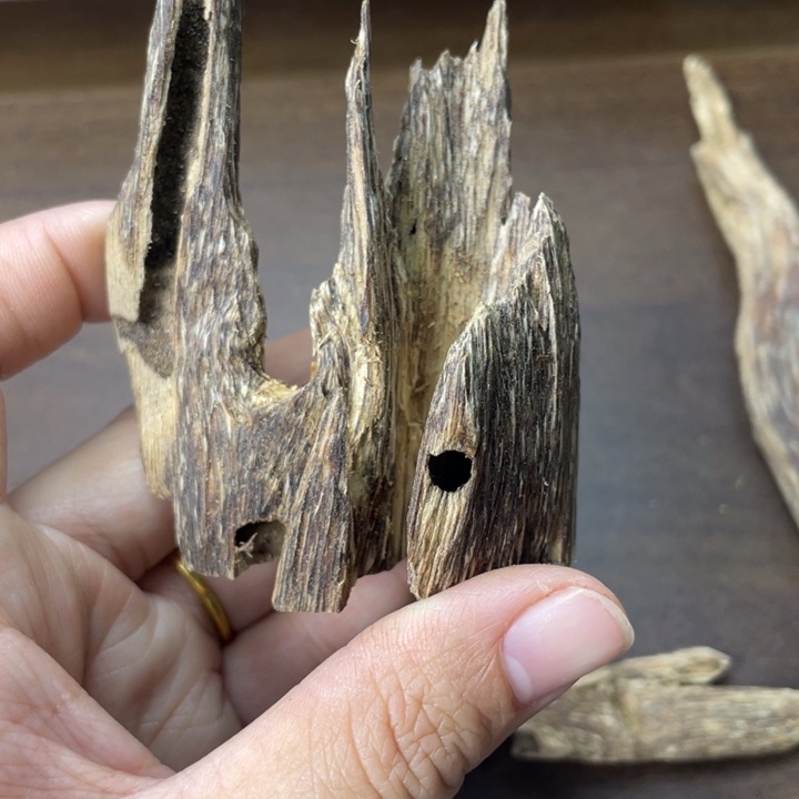 香榧木天然虫漏香